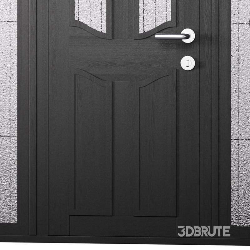 door for interior or exterior Image 11