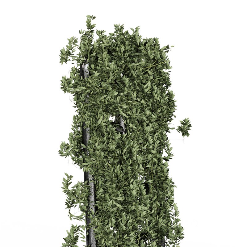 Botanical Planter Image 12