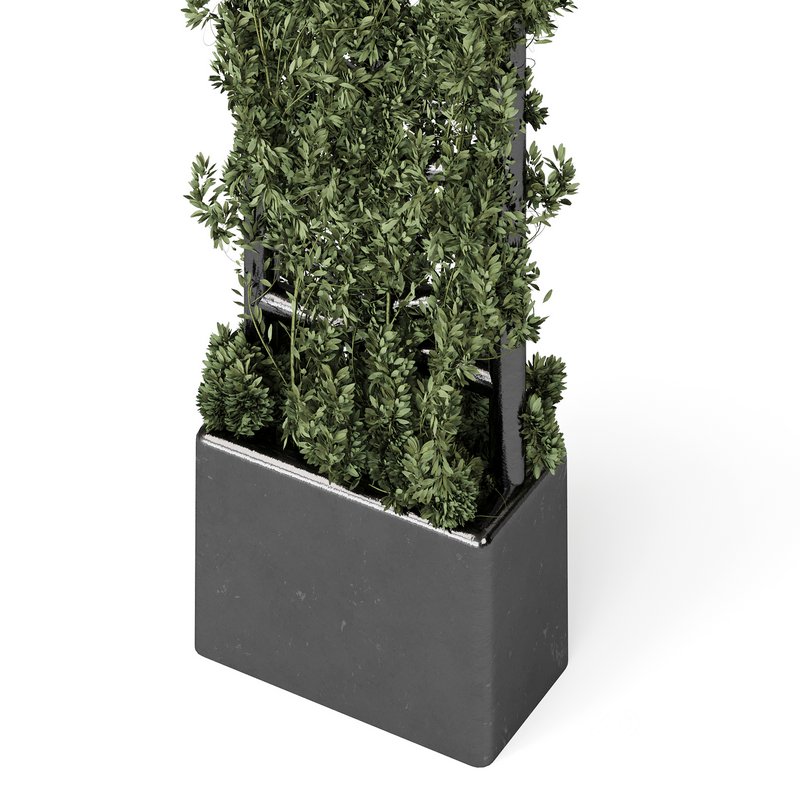 Botanical Planter Image 13