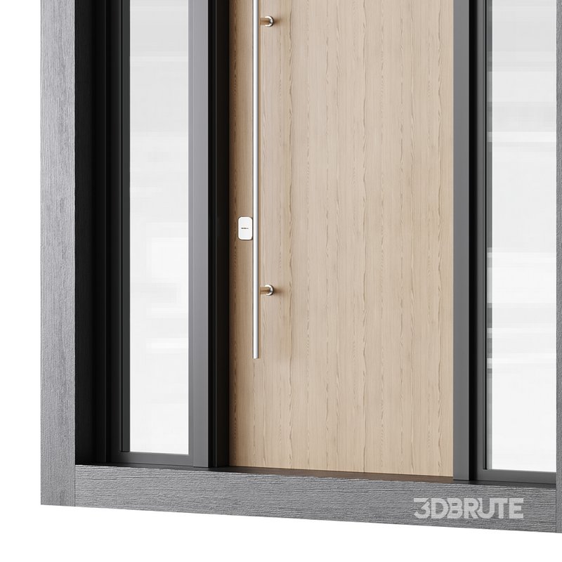 Modern entrance door 04 Image 14