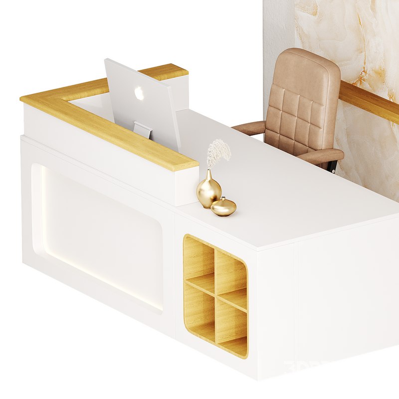 Contemporary Reception 11 Image 12