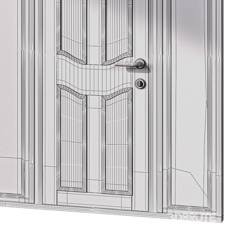 door for interior or exterior Image 14