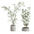 plants set 01 - Thumbnail 1