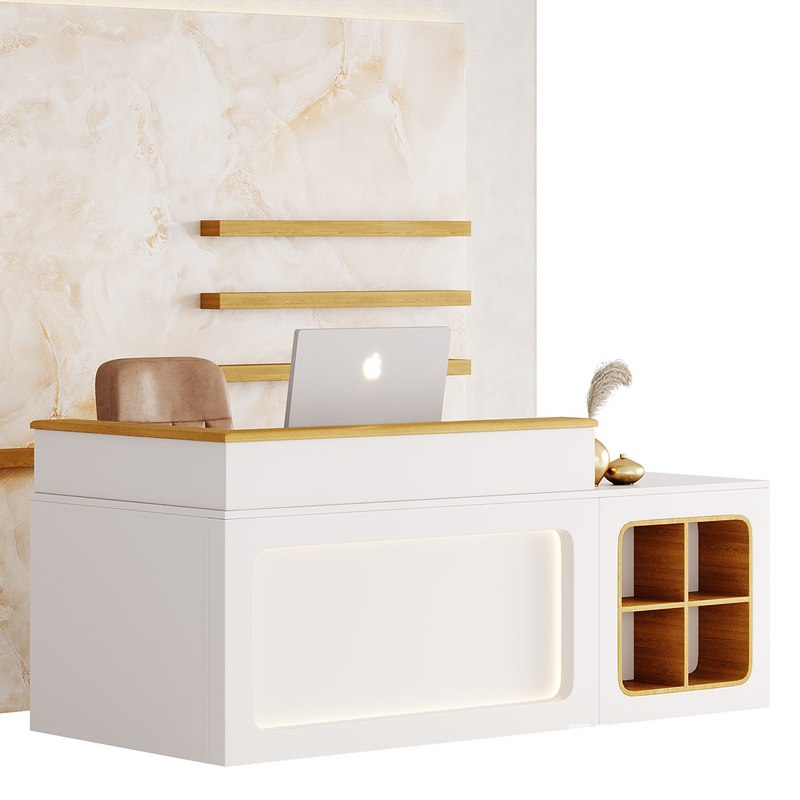 Contemporary Reception 11 Image 3