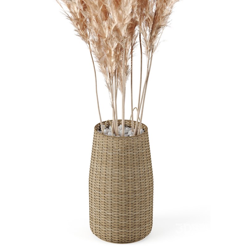 Pampas Decoration with Natural basket Image 3