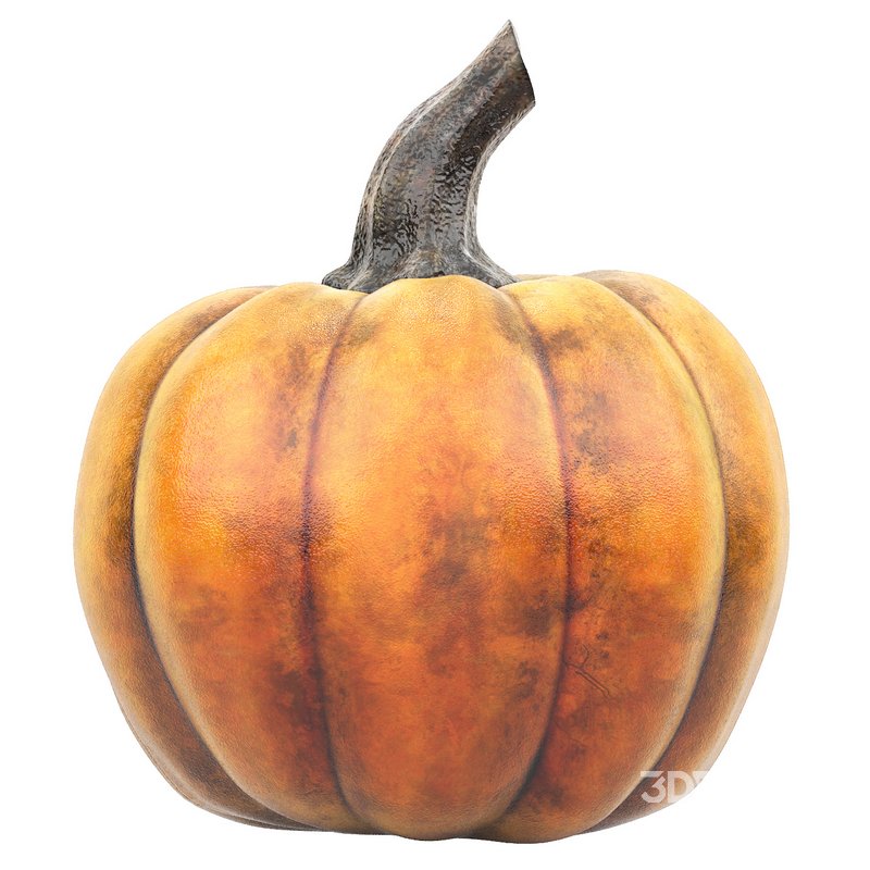 halloween pumpkin Image 4