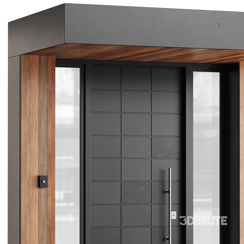 Modern entrance door 02 Image 5