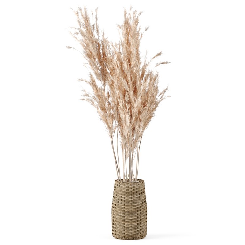 Pampas Decoration with Natural basket Image 2