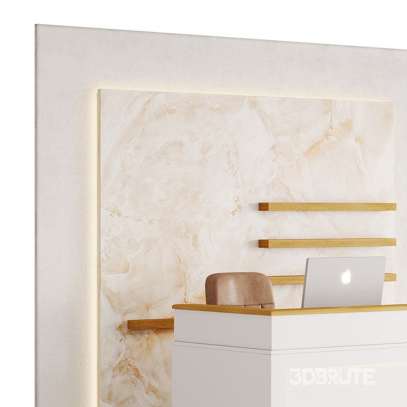 Contemporary Reception 11 Image 5