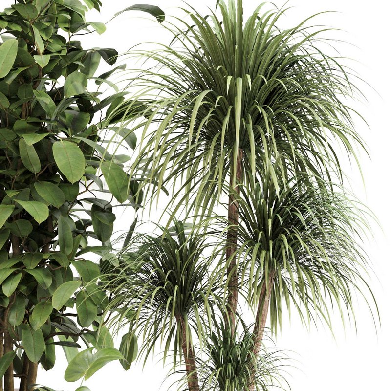 Indoor Plant Set 0113 Image 3