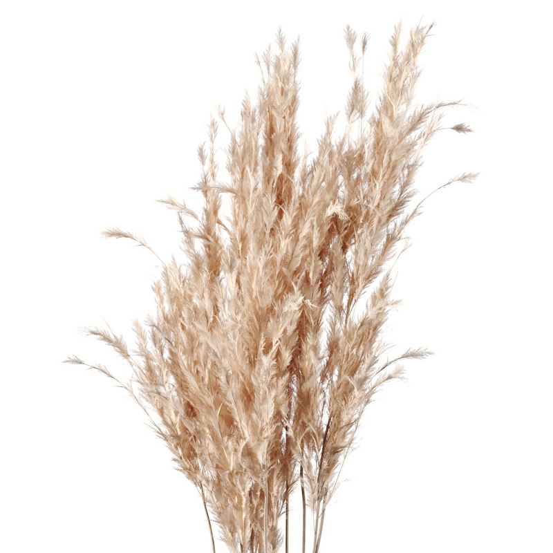 Pampas Decoration with Natural basket Image 4