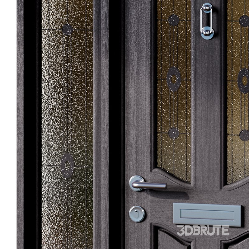 door for interior or exterior Image 5