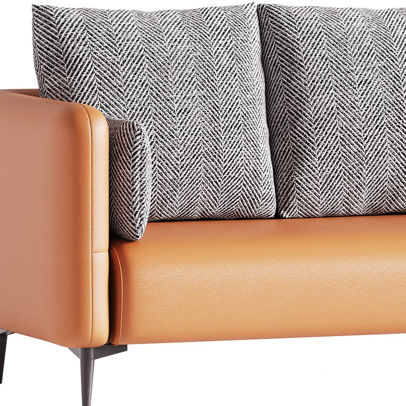 Living Room Sofa Image 3