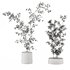 plants set 01 - Thumbnail 4