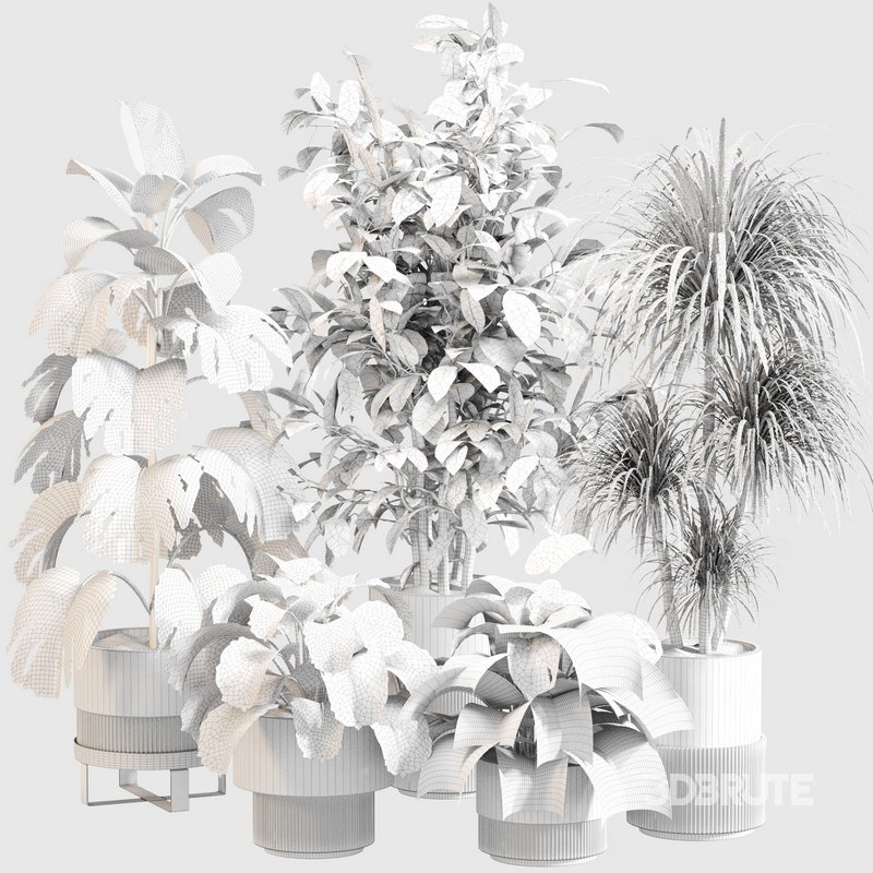 Indoor Plant Set 0113 Image 5