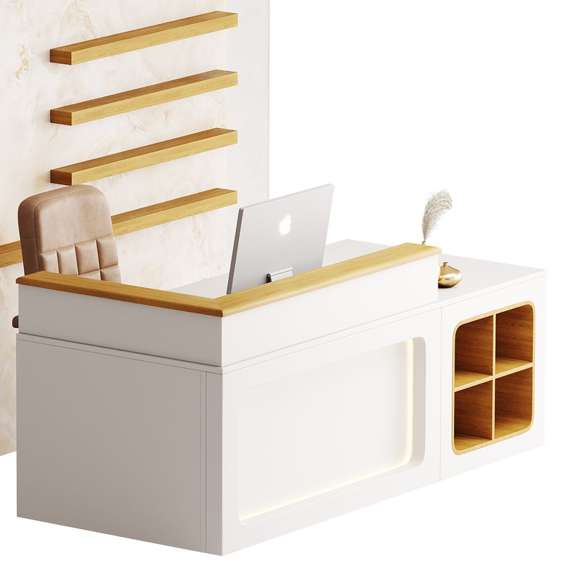 Contemporary Reception 11 Image 6