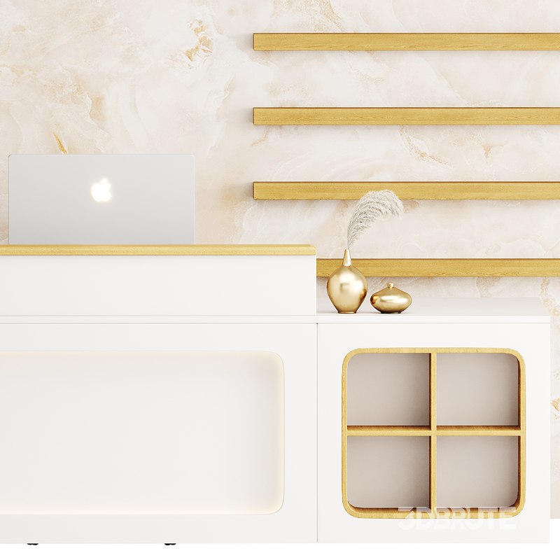 Contemporary Reception 11 Image 9