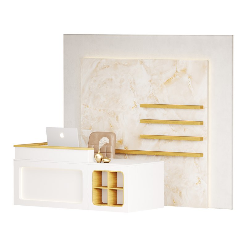 Contemporary Reception 11 Image 8