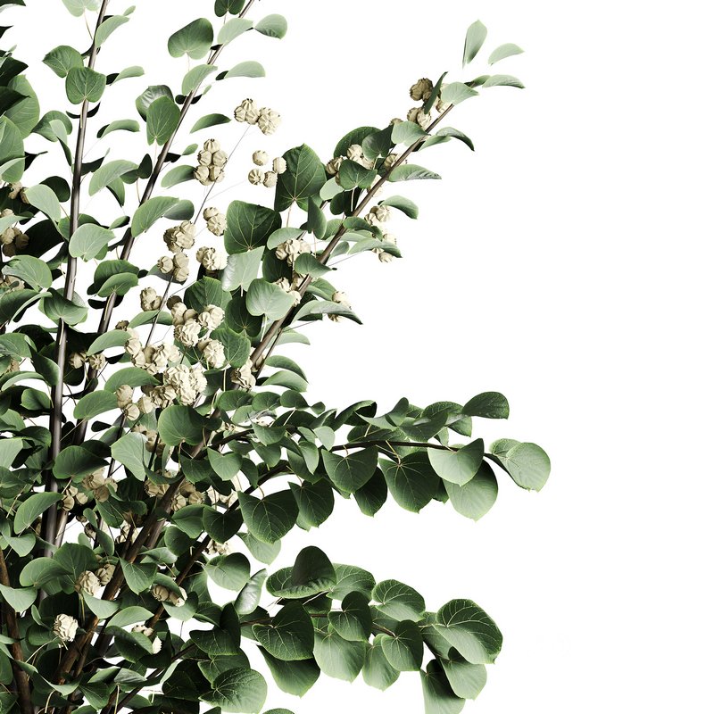 Bouquet set R1 Image 2