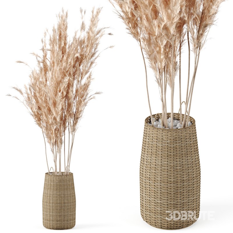 Pampas Decoration with Natural basket Image 1