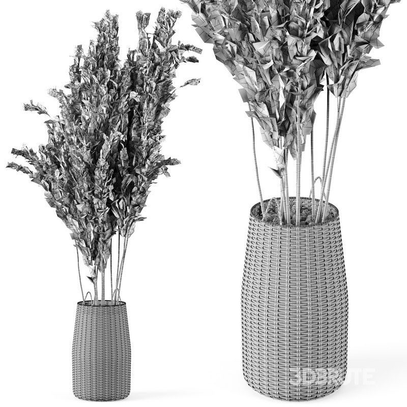 Pampas Decoration with Natural basket Image 5