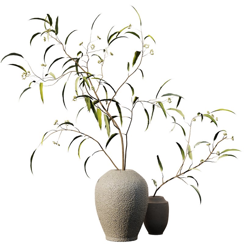 Eucalyptus Branches Bouquet Image 1