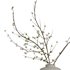 Dry branches vase Set45 - Thumbnail 4