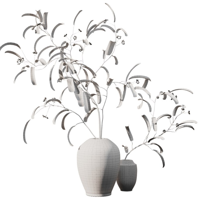 Eucalyptus Branches Bouquet Image 4