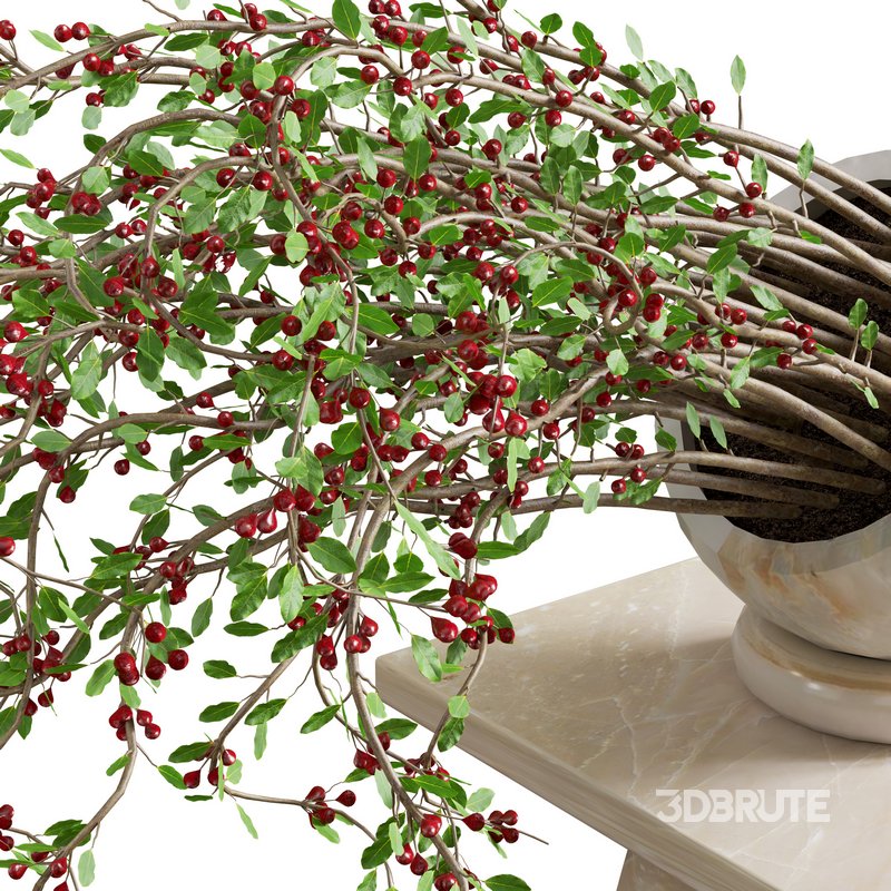 plant bouquet indoor 02 Image 3