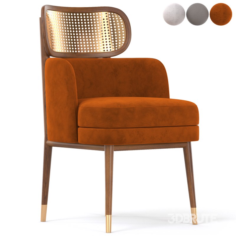 DINING CHAIR CARTER Image 1