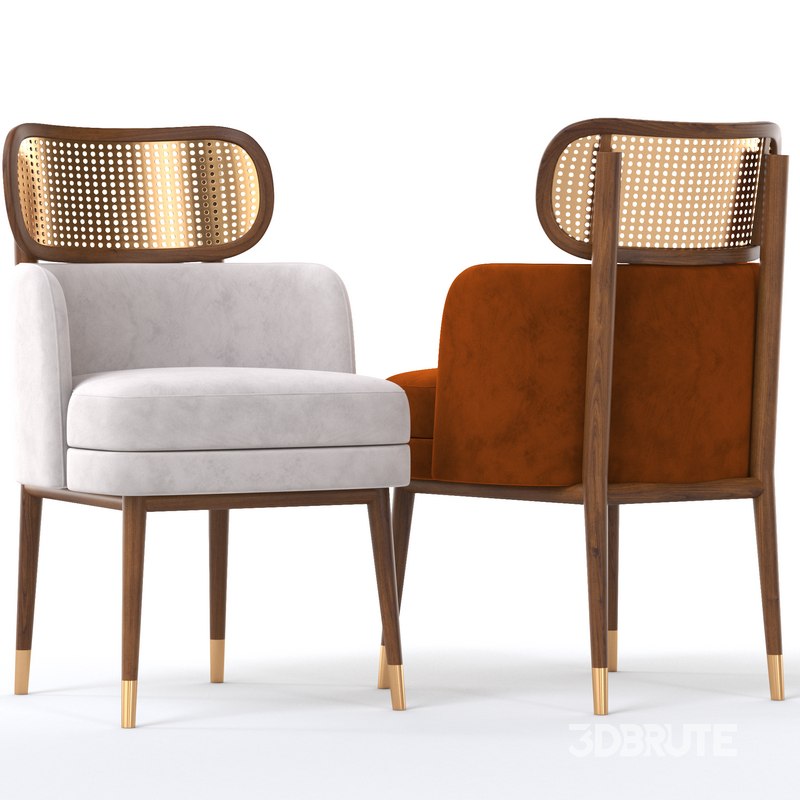 DINING CHAIR CARTER Image 4