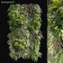 Vertical garden 02 - Thumbnail 1