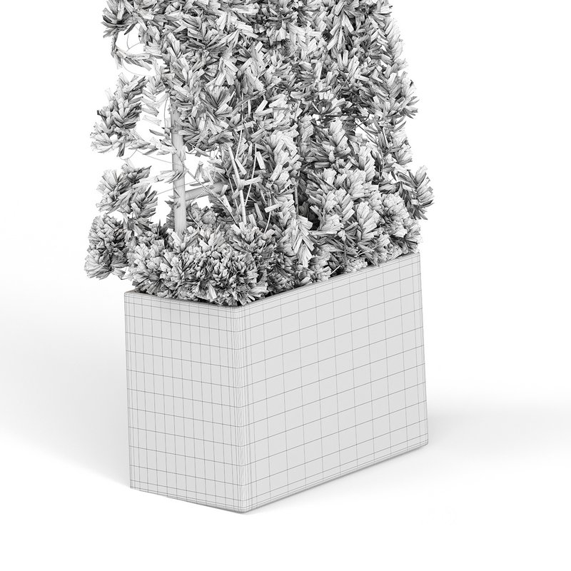 Botanical Planter Image 15