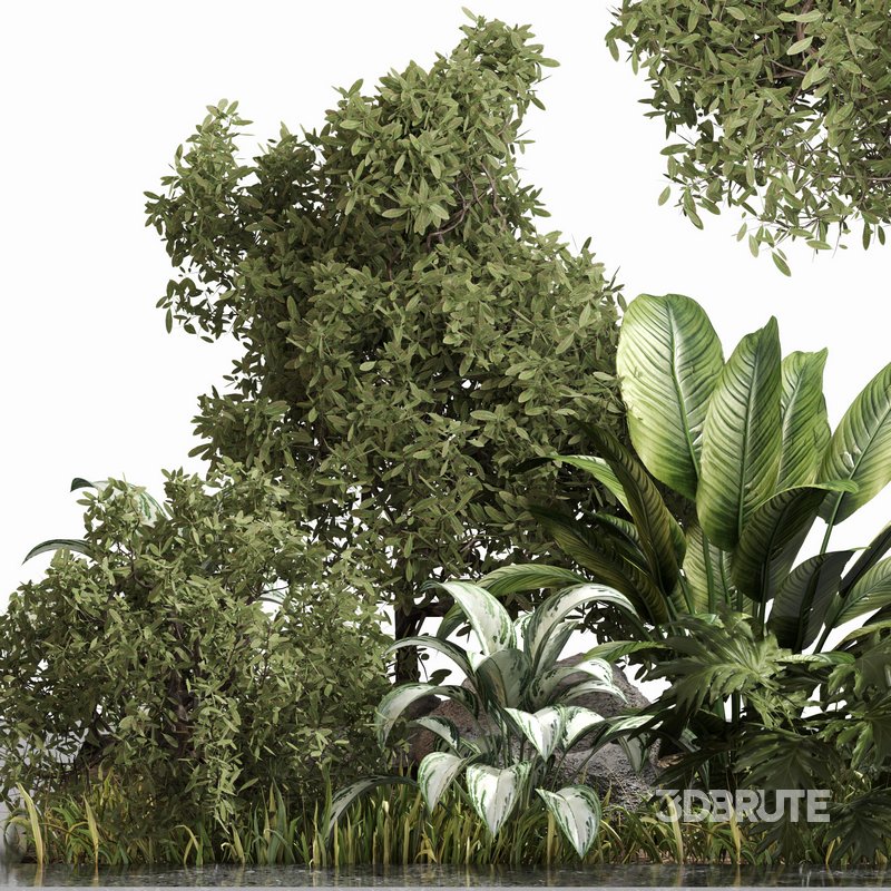 outdoor Plant Set 04 Image 4