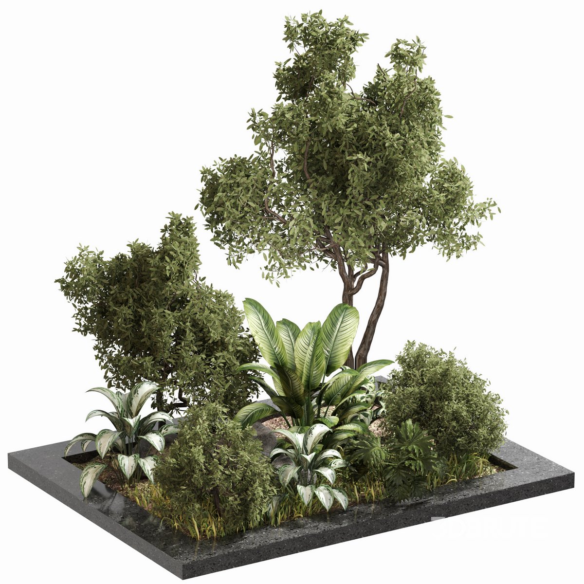 outdoor Plant Set 04 Image 1