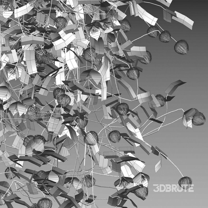 Clematis Bill MacKenzie – Clematis tangutica 01 Image 4