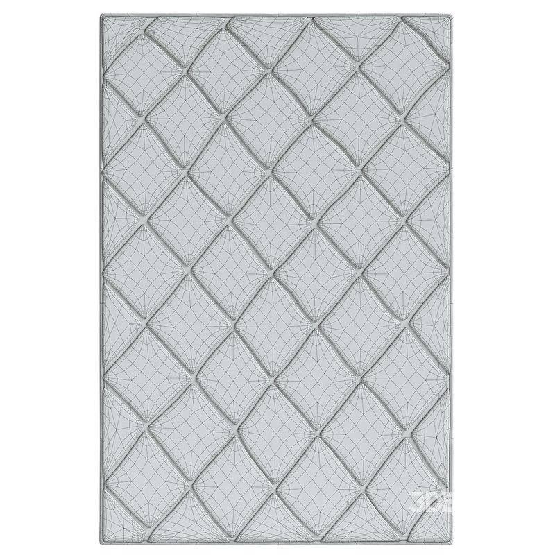 Leah Shag Rug Image 4