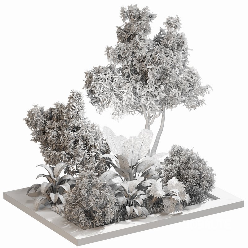 outdoor Plant Set 04 Image 2