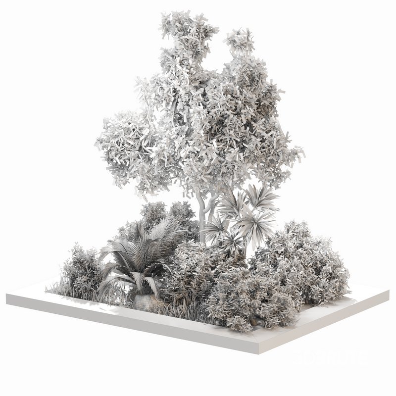 outdoor Plant Set 05 Image 4