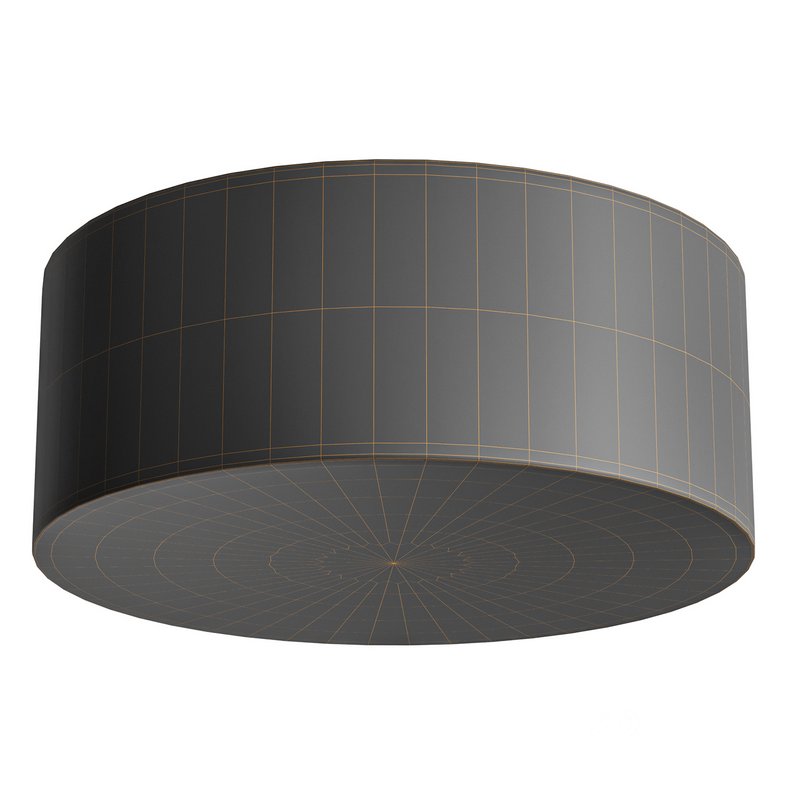 HASHIRA CEILING LAMP, RAW Image 6