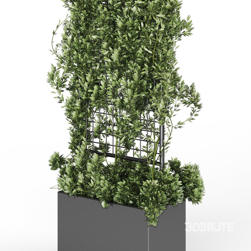 Botanical Planter 2 Image 11