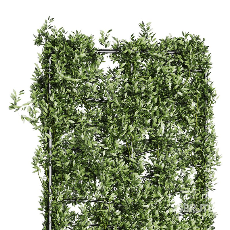 Botanical Planter 4 Image 6