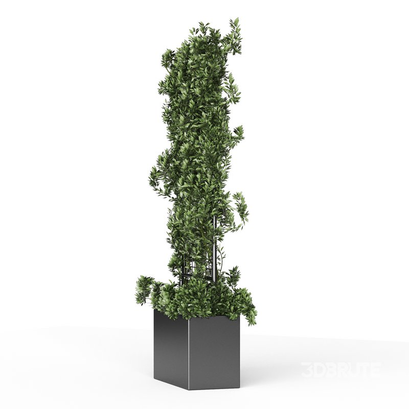 Botanical Planter 2 Image 12