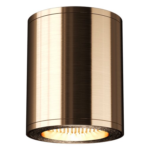 Aisilan Ceiling Light