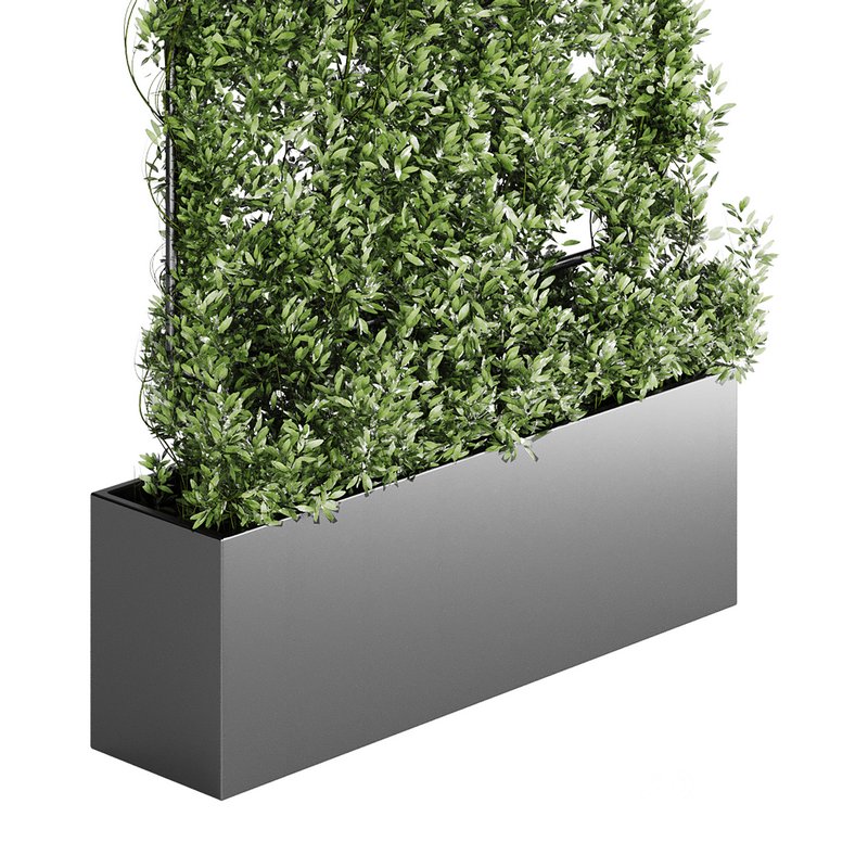 Botanical Planter 4 Image 8