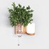 Isla Wall Mounted Lamp & Glass Vase - Thumbnail 13
