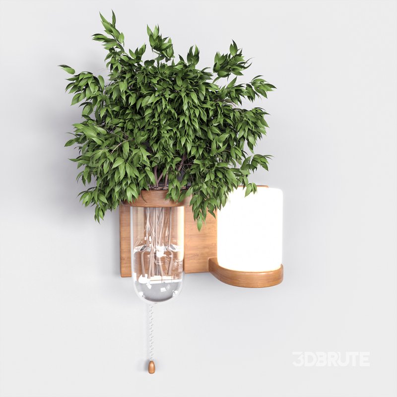 Isla Wall Mounted Lamp & Glass Vase Image 13