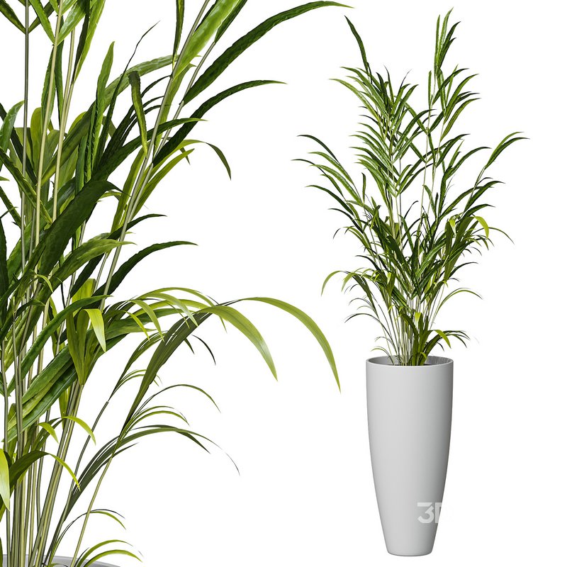 Flower set 10 Image 1