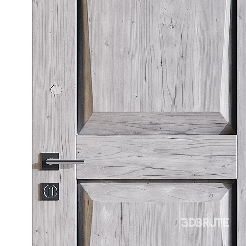 Modern entrance door 10 Image 13