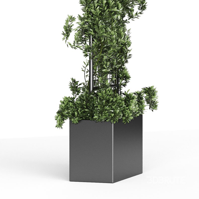 Botanical Planter 2 Image 13